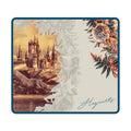 Lexip X Warner Bros Harry Potter Mousepad, Size L (45x40 cm)