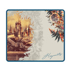 Lexip X Warner Bros Harry Potter Mousepad, Size L (45x40 cm)